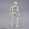 BANDAI 30MF DLROSKELETON