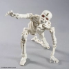 BANDAI 30MF DLROSKELETON