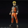 BANDAI FIGURE-RISE STANDARD UZUMAKI NARUTO