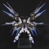 BANDAI PG 1/60 ZGMF-X20A STRIKE FREEDOM GUNDAM BANDAI PG 1/60 ZGMF-X20A STRIKE FREEDOM GUNDAM