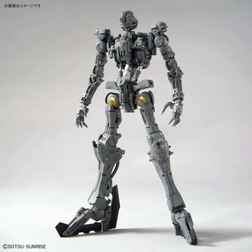 BANDAI MG 1/100 ASW-G-XX GUNDAM VIDAR