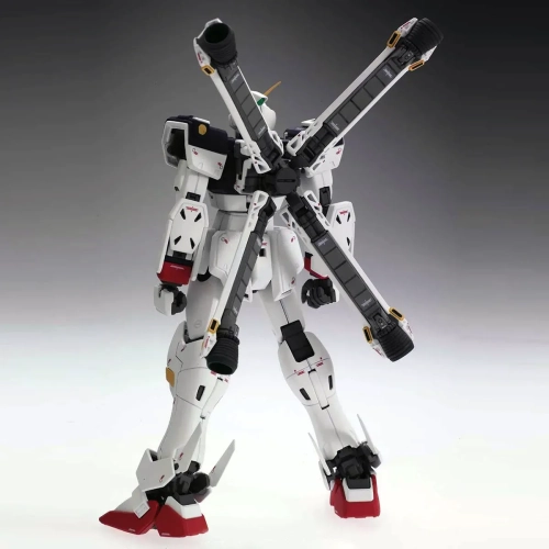 BANDAI MG 1/100 XM-X1 CROSSBONE GUNDAM X-1 (VER.KA)